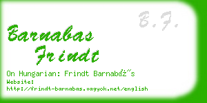 barnabas frindt business card